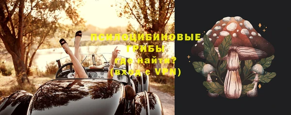 спайс Алзамай