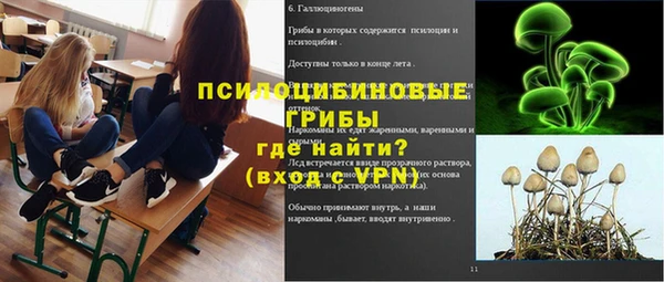 спайс Алзамай