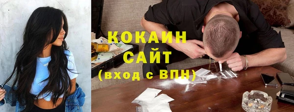 тгк Алексин